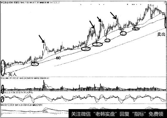 华立药业以60日线为生命线中线翻2.5倍的经典案例