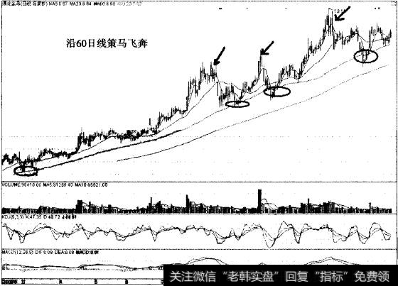 通化金马以60日线为生命线中线翻3倍的传奇案例