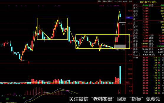 新能源汽车潜力龙头