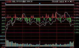 投资者怎样选择处于持续成长期的创业板公司？