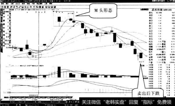 武汉控股“岛型底”形态3