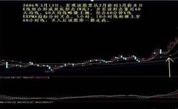 动量交易与基金羊群行为之间有什么关联？