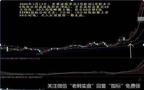 动量交易与基金羊群行为之间有什么关联？