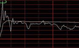 什么是有效市场假说？基金公司的羊群行为有哪两种？