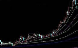 投资基金与市场波动之间有什么联系？