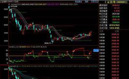 机构投资者与市场稳定性之间是什么关系？