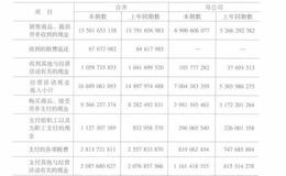 青岛啤酒股份有限公司的现金流量表分析有哪些？