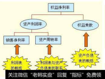 权益净利率