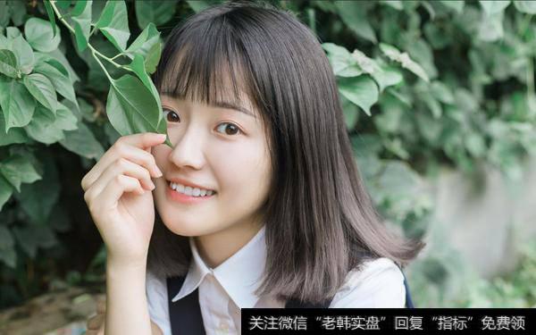 明日看好化工股“反包”；猪肉、工业大麻成“妖”<a href='/gushiyaowen/290163.html'>板块</a>