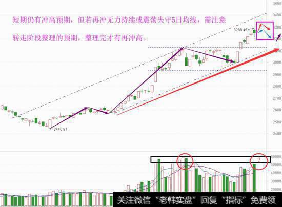 低位仍有强承接，补涨主看周期