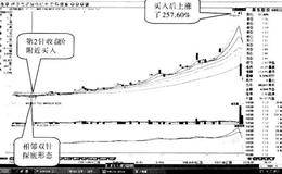 “双针探底”形态的案例有哪些(2)