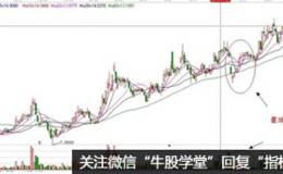 透析量减价升的市场信息