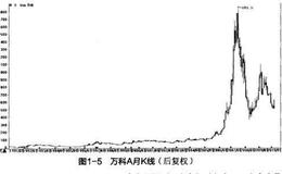 经理人：万科的王石