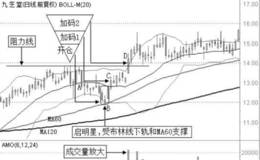 倒金字塔加码模式实战案例运用一一<em>九芝堂</em>（000989）