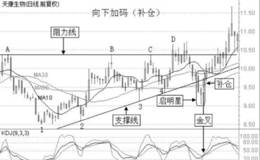 向下加码模式<em>止盈止损技巧</em>