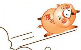 青岛猪肉价格小幅上涨 价格较低的肘肉逼近13元/斤