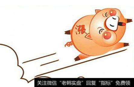 青岛猪肉价格小幅上涨 价格较低的肘肉逼近13元/斤