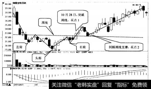 瑞普生物日K线