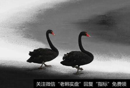 郭施亮股市点评：从<a href='/gushiyaowen/288397.html'>视觉中国</a>到<a href='/guoshiliang/180746.html'>新大洲A</a> 股市黑天鹅频现给投资者带来什么警示？