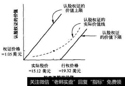 图24-1 Chiquita公司认股权证