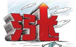 什么是傻瓜式认知的核心？傻瓜式认知的核心有哪些？