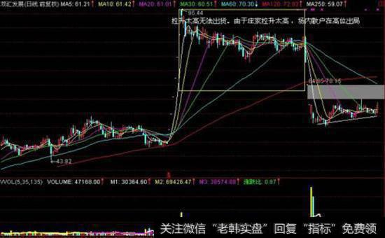 为什么选白马股需要相马术？选白马股需哪些要相马术？