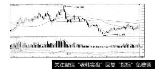 2011~2012年度潜力个股：600616金枫酒业