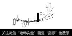 出水芙蓉