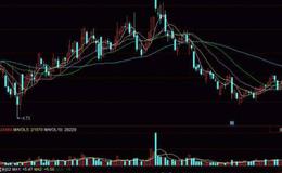 为什么要把套利作为进行证券投资的主要方法？