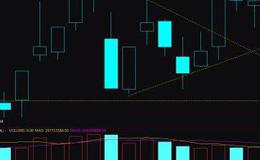 影响股票指数期货套期保值的因素是什么？