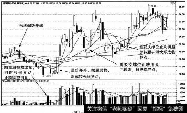 恒信移动(300081)的日K线图