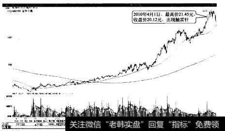 金种子酒出现触雷针，中期见顶可能性大