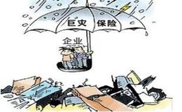 在我们的财产保险合同中，保险公司的责任范围有哪些呢?