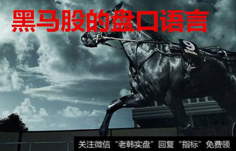 黑马股的<a href='/cgjq/283257.html'>盘口语</a>言