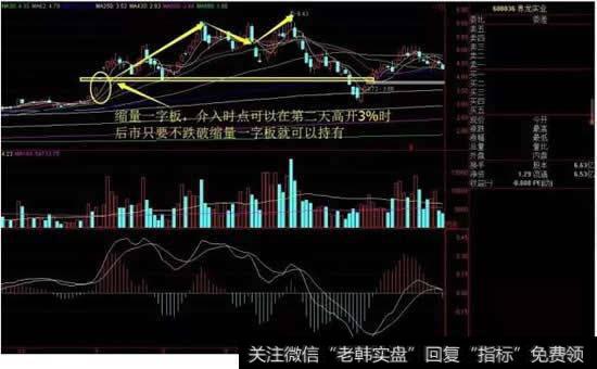 界龙实业