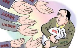 寻找优秀中小企业的原则是什么？哪些中小企业是值得关注的？