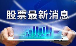 投资者如何抓住抓住标杆股？面对井喷股票要不要追涨？