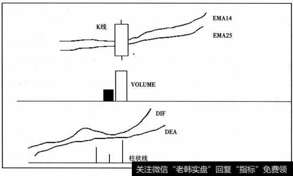 标准的标的