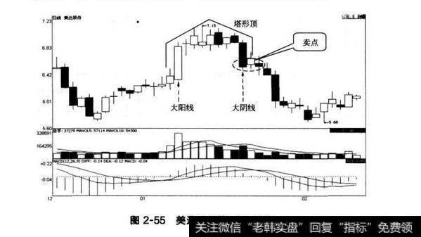 图2-55美达股份塔形顶形态