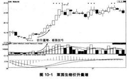 蜡烛图：成交量实战技法