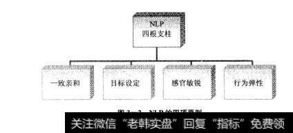 图3-2NLP的四项原则