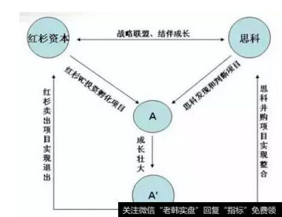 资本市场发展的逻辑是怎样的