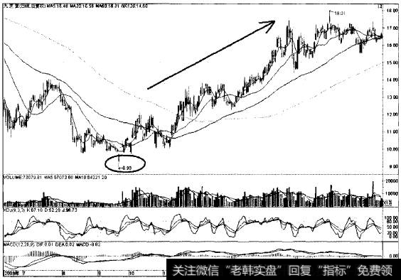 定海神针猎杀<a href='/t_10194/'>中药牛股</a>九芝堂