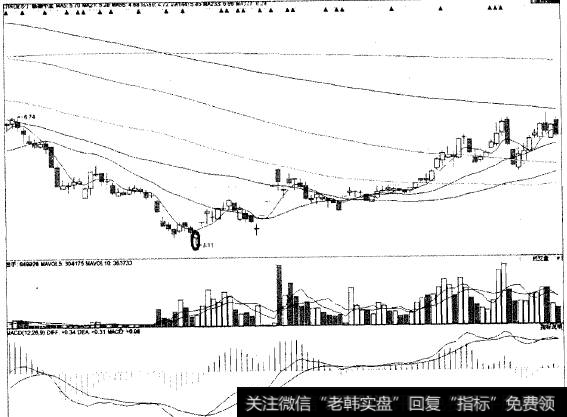 定海神针猎杀房地产牛股新湖中宝