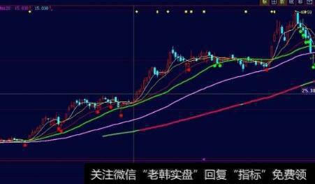 投资者在阅读季报时应注意什么细节？