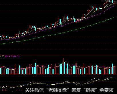 财务比率从形态上划分可以分为几类？