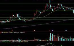 财务比率从性质上划分可以分为几类？