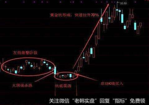 怎样从整体解读和分析现金流量表？