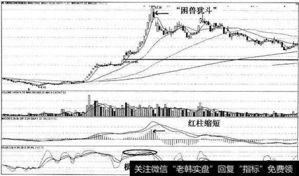 成飞集成红柱拐点逃顶