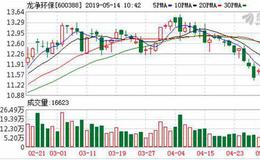 <em>龙净环保</em>：融资净买入89.11万元，融资余额4.75亿元（05-13）